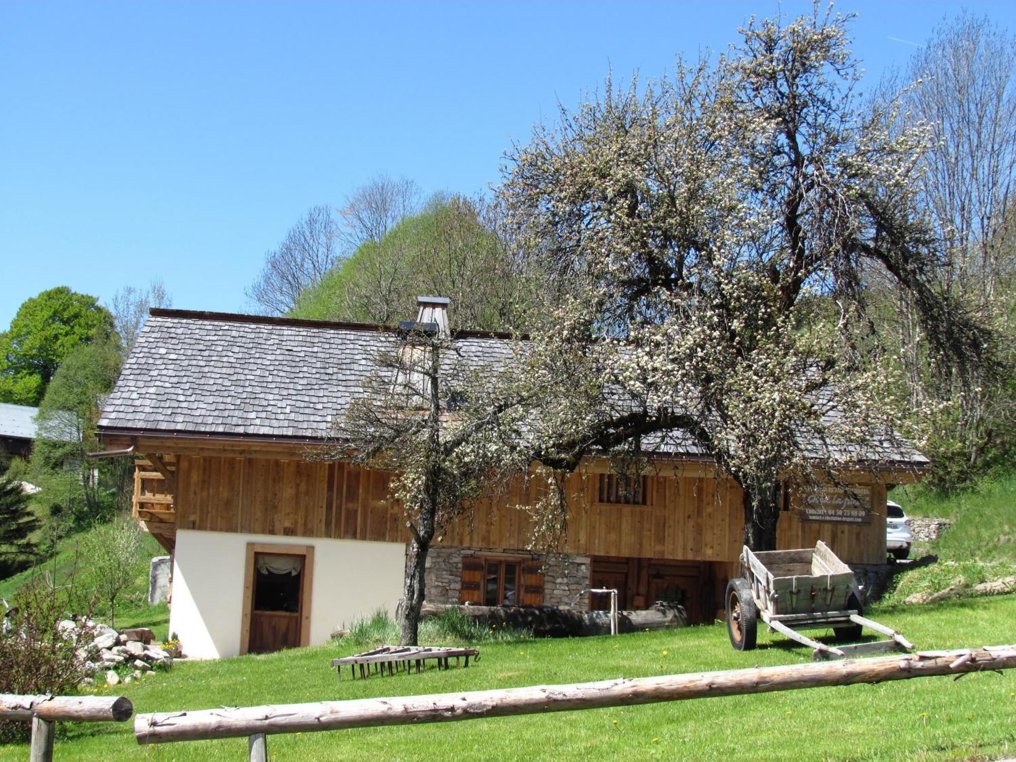 Chez La Fine Bed & Breakfast Les Gets Dış mekan fotoğraf